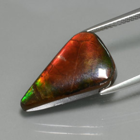 Ammolite Gemstone in 19.4 x 12.3 mm Size for Sale, Ammolite Stone in Multicolor Color