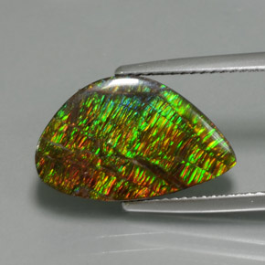 5.72 ct Multicolor Ammolite Stone, Natural Ammolite in Fancy Cabochon Shape for Sale