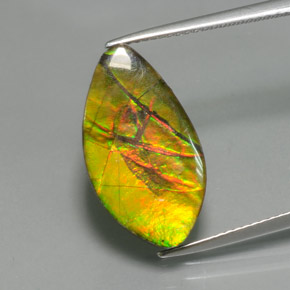 7.8ct Fancy Cabochon Multicolor Ammolite Gem for sale 7.8ct Fancy Cabochon Multicolor Ammolite Gem (ID: 377489)