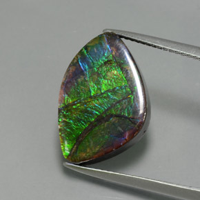 7.2ct Fancy Cabochon Multicolor Ammolite Gem for sale 7.2ct Fancy Cabochon Multicolor Ammolite Gem (ID: 377492)