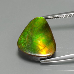 6.8ct Fancy Cabochon Multicolor Ammolite Gem for sale 6.8ct Fancy Cabochon Multicolor Ammolite Gem (ID: 377493)