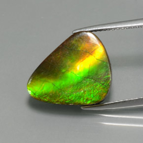 6.81 ct Multicolor Ammolite Stone, Natural Ammolite in Fancy Cabochon Shape for Sale