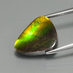 Ammolite Gemstone in 15 x 12.6 mm Size for Sale, Ammolite Stone in Multicolor Color