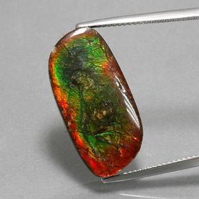 12.96 ct Multicolor Ammolite Gemstone, Ammolite Gem in Fancy Cabochon Shape for Sale.