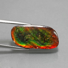12.96 ct Multicolor Ammolite Stone, Natural Ammolite in Fancy Cabochon Shape for Sale