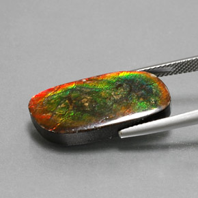 Ammolite Gemstone in 24.3 x 12 mm Size for Sale, Ammolite Stone in Multicolor Color