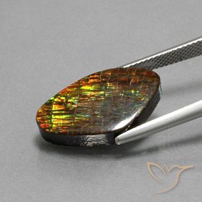 Ammolite Gemstone in 20.7 x 12 mm Size for Sale, Ammolite Stone in Multicolor Color