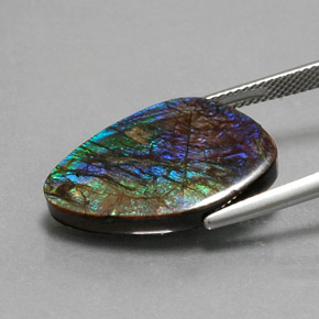 Ammolite Gemstone in 23.6 x 14.4 mm Size for Sale, Ammolite Stone in Multicolor Color