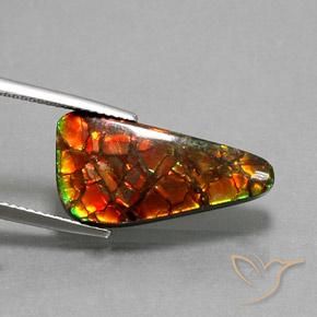 10.25 ct Multicolor Ammolite Stone, Natural Ammolite in Trillion Cabochon Shape for Sale