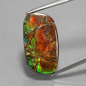 11.39 ct Multicolor Ammolite Gemstone, Ammolite Gem in Fancy Cabochon Shape for Sale.