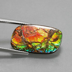 11.39 ct Multicolor Ammolite Stone, Natural Ammolite in Fancy Cabochon Shape for Sale