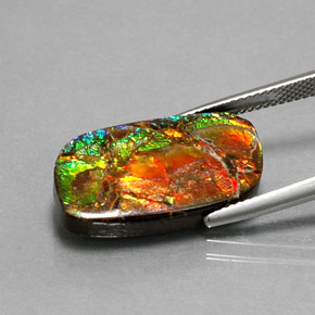 Ammolite Gemstone in 21.8 x 12.5 mm Size for Sale, Ammolite Stone in Multicolor Color