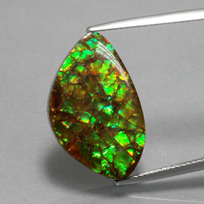 Multicolor Ammolite Gem - 11.6ct Fancy Cabochon (ID: 377513)
