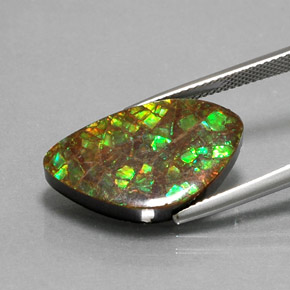 Ammolite Gemstone in 22.4 x 13.9 mm Size for Sale, Ammolite Stone in Multicolor Color