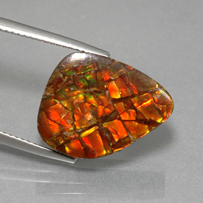 11.57 ct Multicolor Ammolite Stone, Natural Ammolite in Fancy Cabochon Shape for Sale