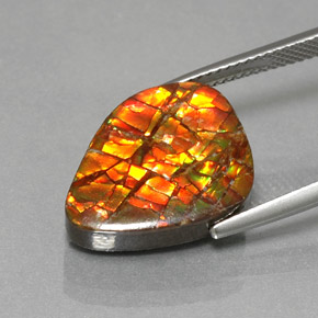 Ammolite Gemstone in 18.5 x 14.3 mm Size for Sale, Ammolite Stone in Multicolor Color