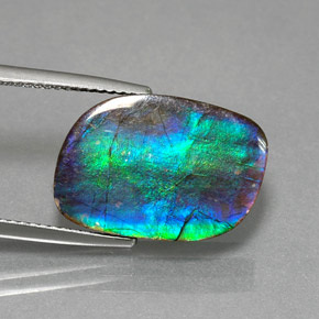 8.79 ct Multicolor Ammolite Stone, Natural Ammolite in Fancy Cabochon Shape for Sale