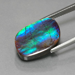 Ammolite Gemstone in 17.9 x 12.5 mm Size for Sale, Ammolite Stone in Multicolor Color