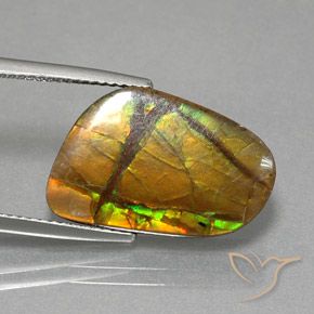 8.36 ct Multicolor Ammolite Stone, Natural Ammolite in Fancy Cabochon Shape for Sale
