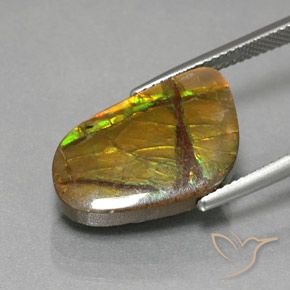 Ammolite Gemstone in 20.2 x 12.7 mm Size for Sale, Ammolite Stone in Multicolor Color