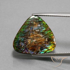 12.33 ct Trillion Ammolite, 18.3 x 18 mm From Canada, Photo A