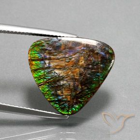 12.33 ct Multicolor Ammolite Stone, Natural Ammolite in Trillion Cabochon Shape for Sale