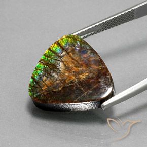 Ammolite Gemstone in 18 x 18 mm (calibrated) Size for Sale, Ammolite Stone in Multicolor Color
