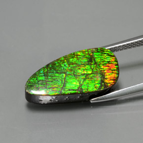 Ammolite Gemstone in 18.9 x 9.7 mm Size for Sale, Ammolite Stone in Multicolor Color