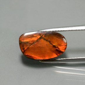 5.02 ct Multicolor Ammolite Stone, Natural Ammolite in Fancy Cabochon Shape for Sale