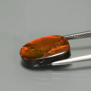 Ammolite Gemstone in 14.9 x 9 mm Size for Sale, Ammolite Stone in Multicolor Color