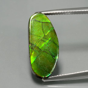 6.87 ct Multicolor Ammolite Gemstone, Ammolite Gem in Fancy Cabochon Shape for Sale.
