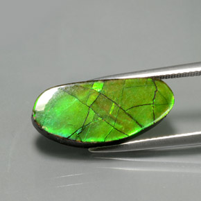 6.87 ct Multicolor Ammolite Stone, Natural Ammolite in Fancy Cabochon Shape for Sale
