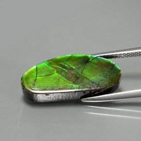 Ammolite Gemstone in 21 x 9.5 mm Size for Sale, Ammolite Stone in Multicolor Color
