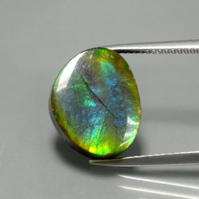 7.03 ct Multicolor Ammolite Gemstone, Ammolite Gem in Fancy Cabochon Shape for Sale.