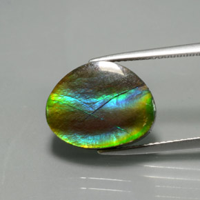 7.03 ct Multicolor Ammolite Stone, Natural Ammolite in Fancy Cabochon Shape for Sale