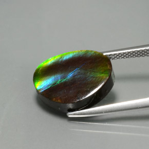Ammolite Gemstone in 14.5 x 11.6 mm Size for Sale, Ammolite Stone in Multicolor Color