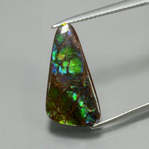 5.8ct Fancy Cabochon Multicolor Ammolite for sale thumb image of 5.8ct Fancy Cabochon Multicolor Ammolite (ID: 377611)