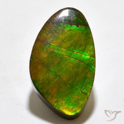 Multicolor Ammolite Gem - 8.6ct Fancy Cabochon (ID: 377613)