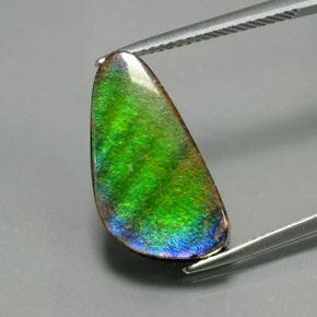 6.53 ct Multicolor Ammolite Gemstone, Ammolite Gem in Fancy Cabochon Shape for Sale.