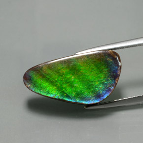 6.53 ct Multicolor Ammolite Stone, Natural Ammolite in Fancy Cabochon Shape for Sale