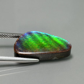 Ammolite Gemstone in 18.6 x 9.7 mm Size for Sale, Ammolite Stone in Multicolor Color