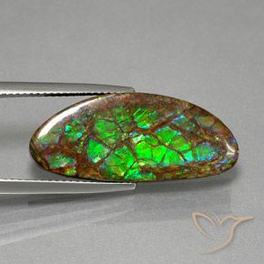 12.02 ct Multicolor Ammolite Stone, Natural Ammolite in Fancy Cabochon Shape for Sale