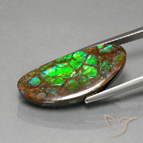 Ammolite Gemstone in 25.9 x 11 mm Size for Sale, Ammolite Stone in Multicolor Color