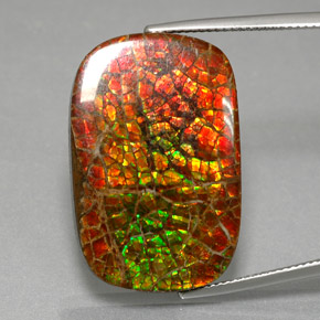 31.31 ct Multicolor Ammolite Gemstone, Ammolite Gem in Cushion Cabochon Shape for Sale.