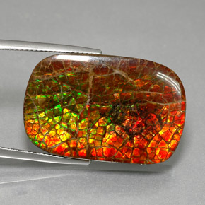 31.31 ct Multicolor Ammolite Stone, Natural Ammolite in Cushion Cabochon Shape for Sale