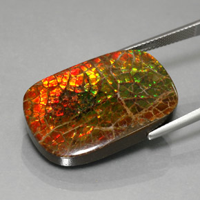 Ammolite Gemstone in 28.5 x 18.7 mm Size for Sale, Ammolite Stone in Multicolor Color