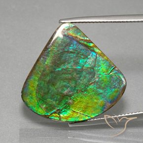 Multicolor Ammolite Gem - 19.8ct Fancy Cabochon (ID: 377631)