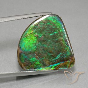 19.82 ct Multicolor Ammolite Stone, Natural Ammolite in Fancy Cabochon Shape for Sale