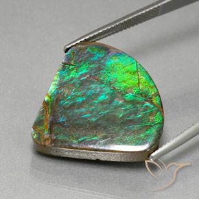 Ammolite Gemstone in 24.7 x 23.3 mm Size for Sale, Ammolite Stone in Multicolor Color