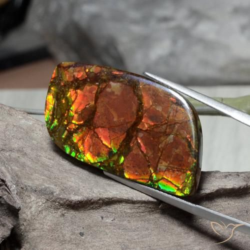 26.89 ct Multicolor Ammolite Stone, Natural Ammolite in Fancy Cabochon Shape for Sale